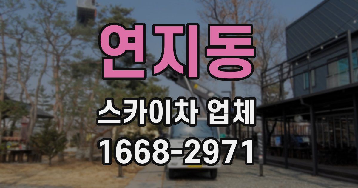 연지동 스카이차 업체