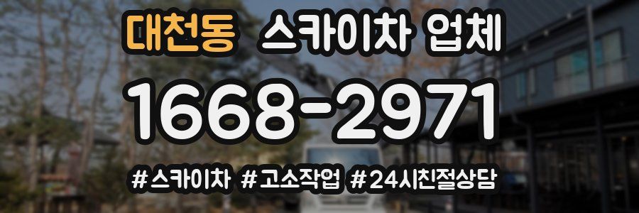 대천동 스카이차 업체