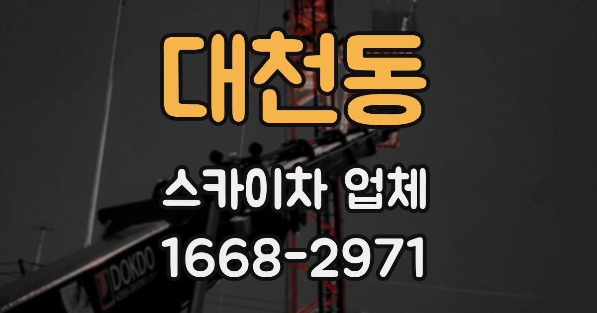 대천동 스카이차 업체