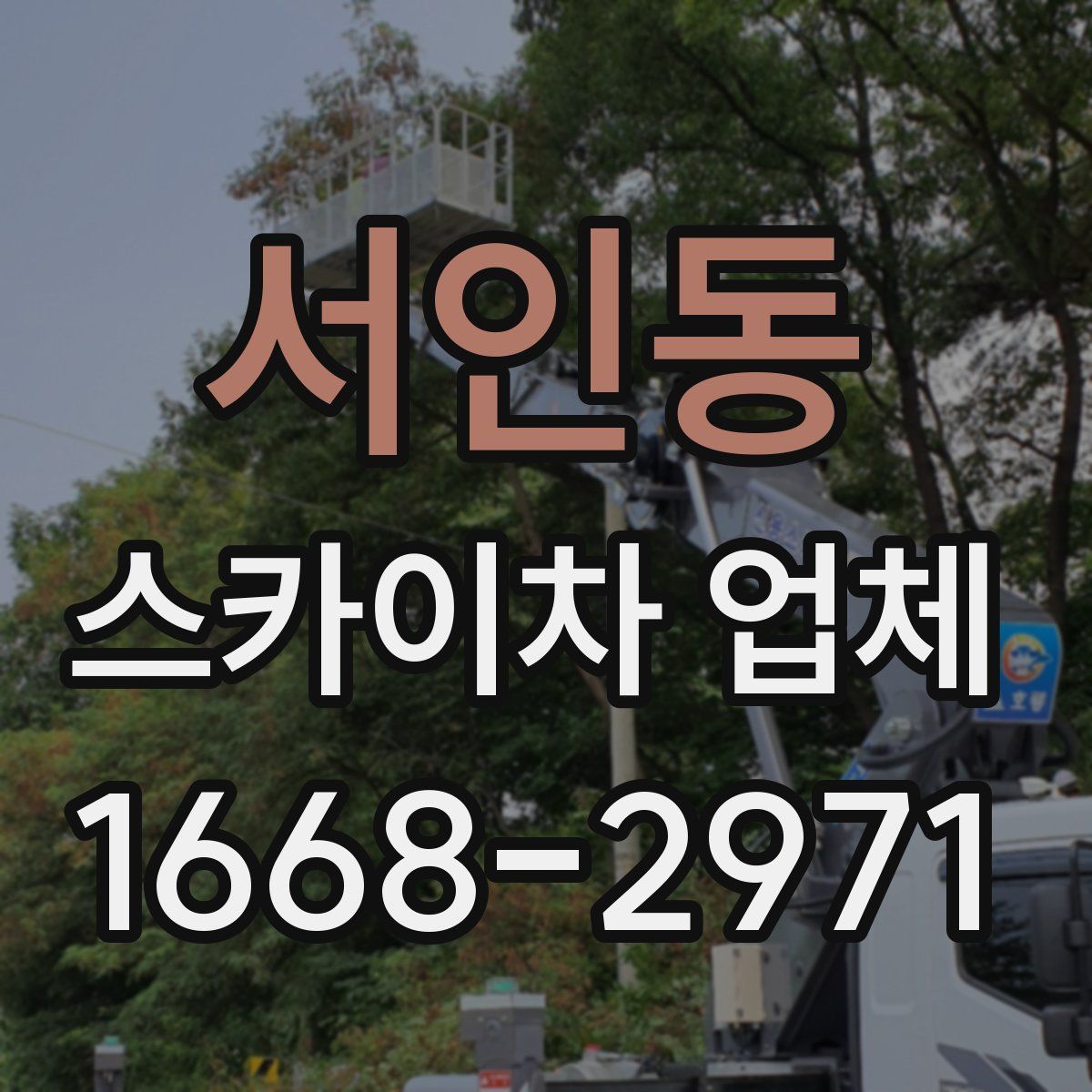 서인동 스카이차 업체