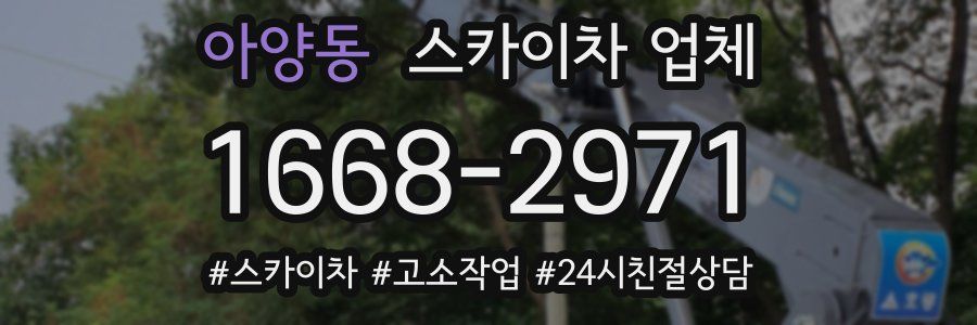 아양동 스카이차 업체
