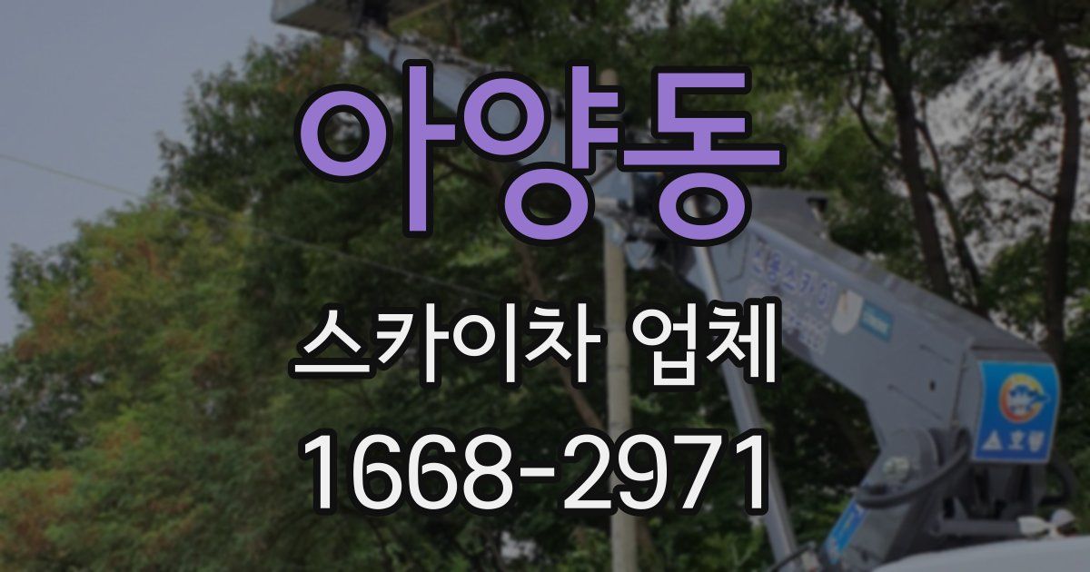 아양동 스카이차 업체