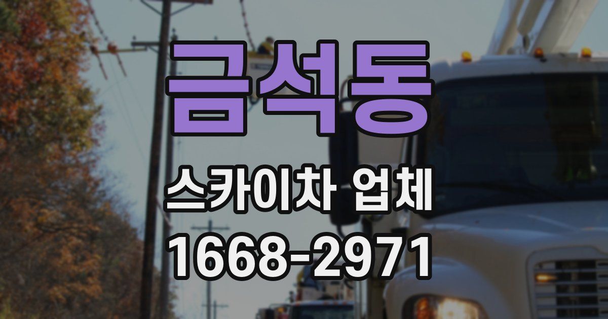 금석동 스카이차 업체