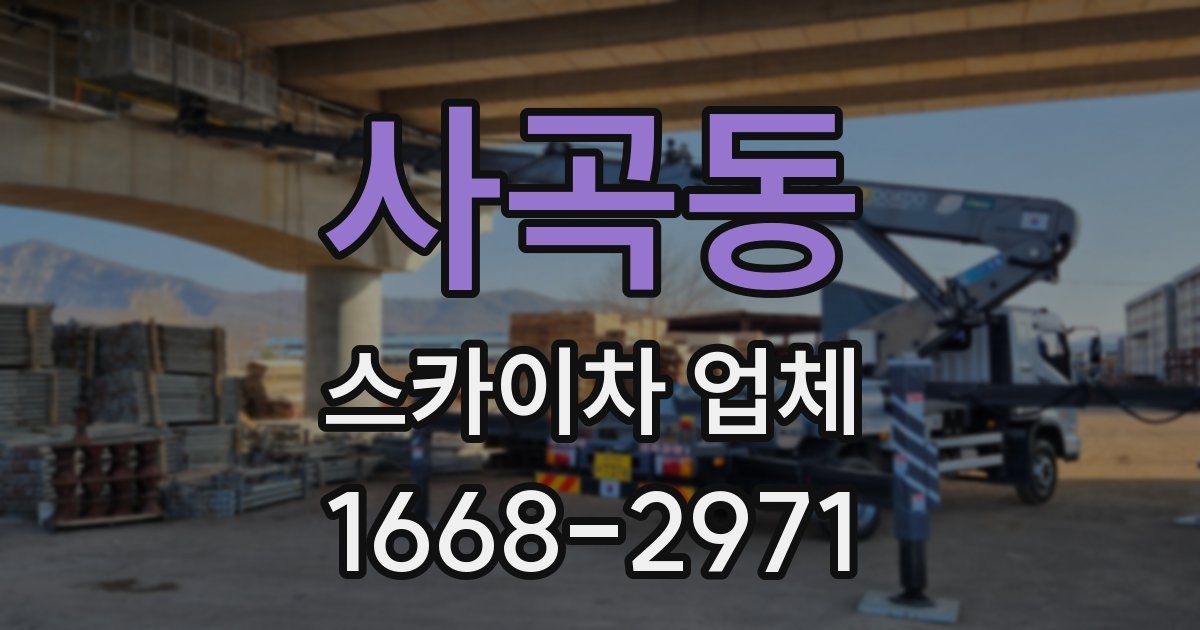 사곡동 스카이차 업체