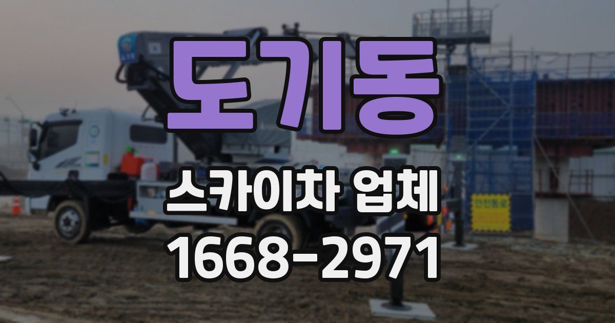 도기동 스카이차 업체