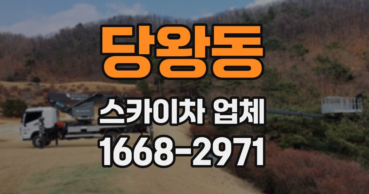 당왕동 스카이차 업체