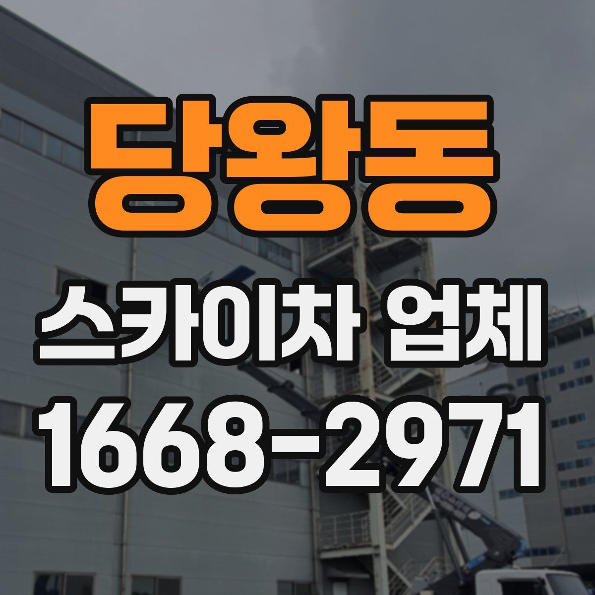 당왕동 스카이차 업체