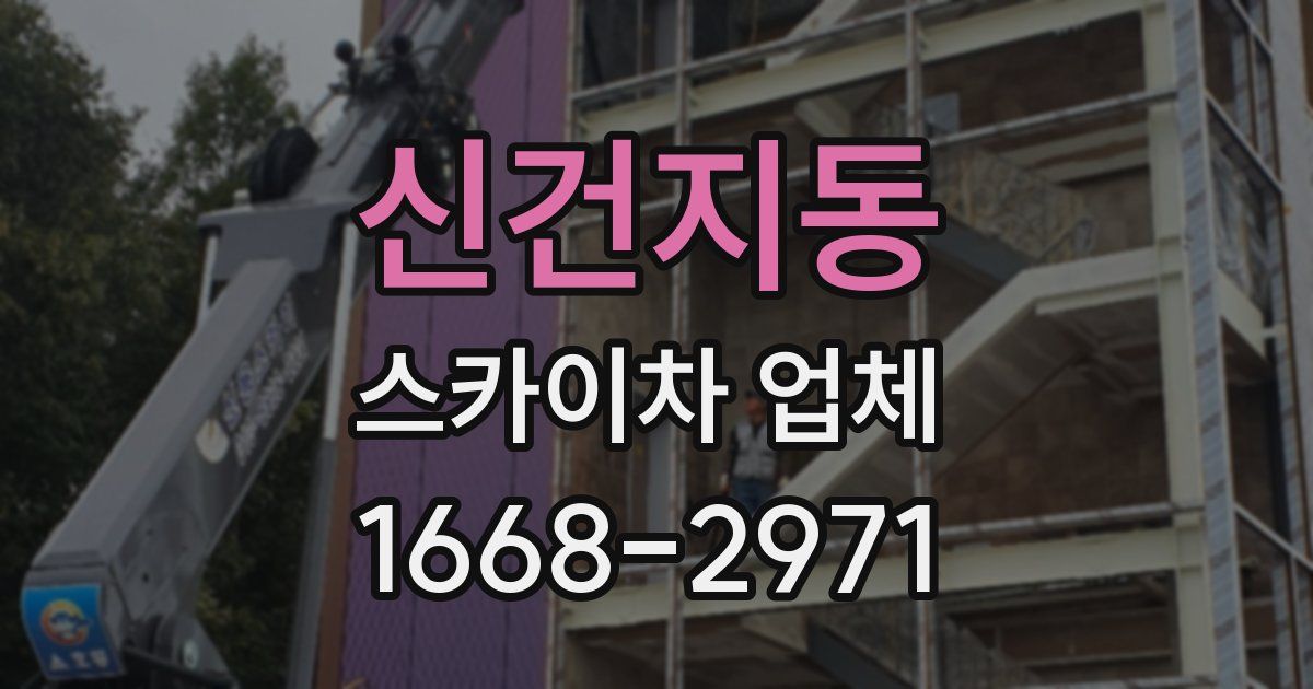 신건지동 스카이차 업체