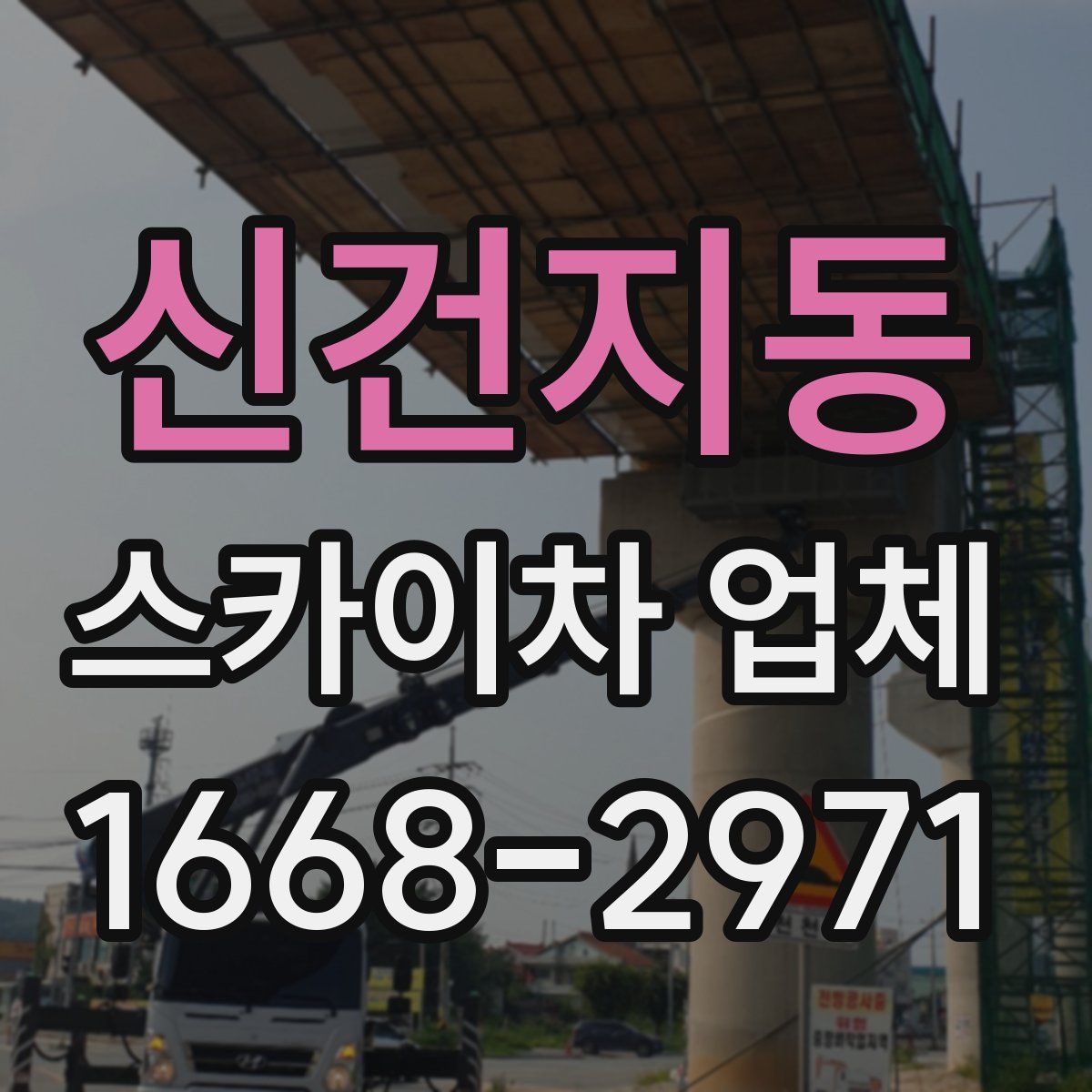 신건지동 스카이차 업체