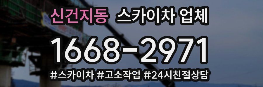 신건지동 스카이차 업체
