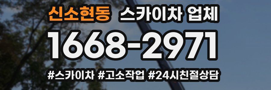 신소현동 스카이차 업체