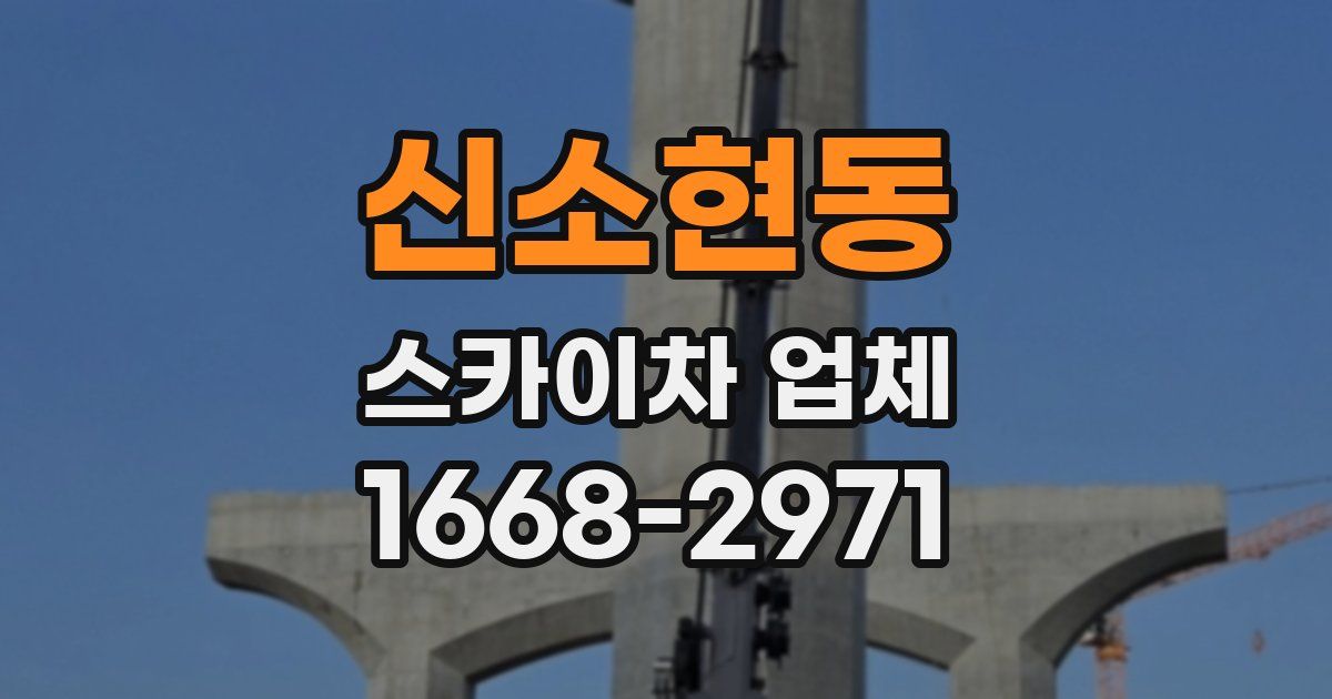 신소현동 스카이차 업체