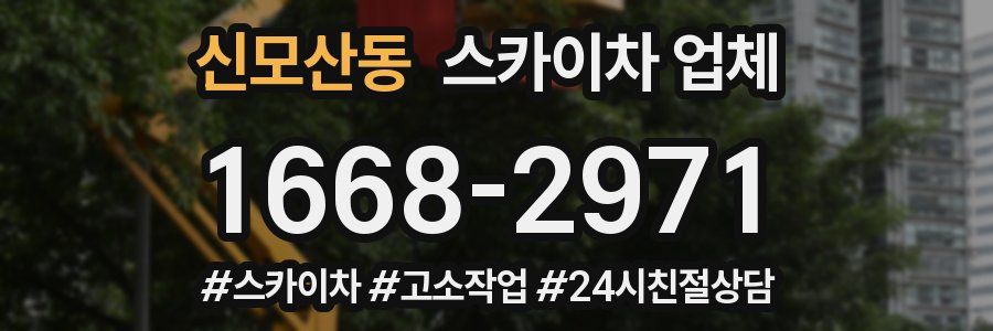 신모산동 스카이차 업체
