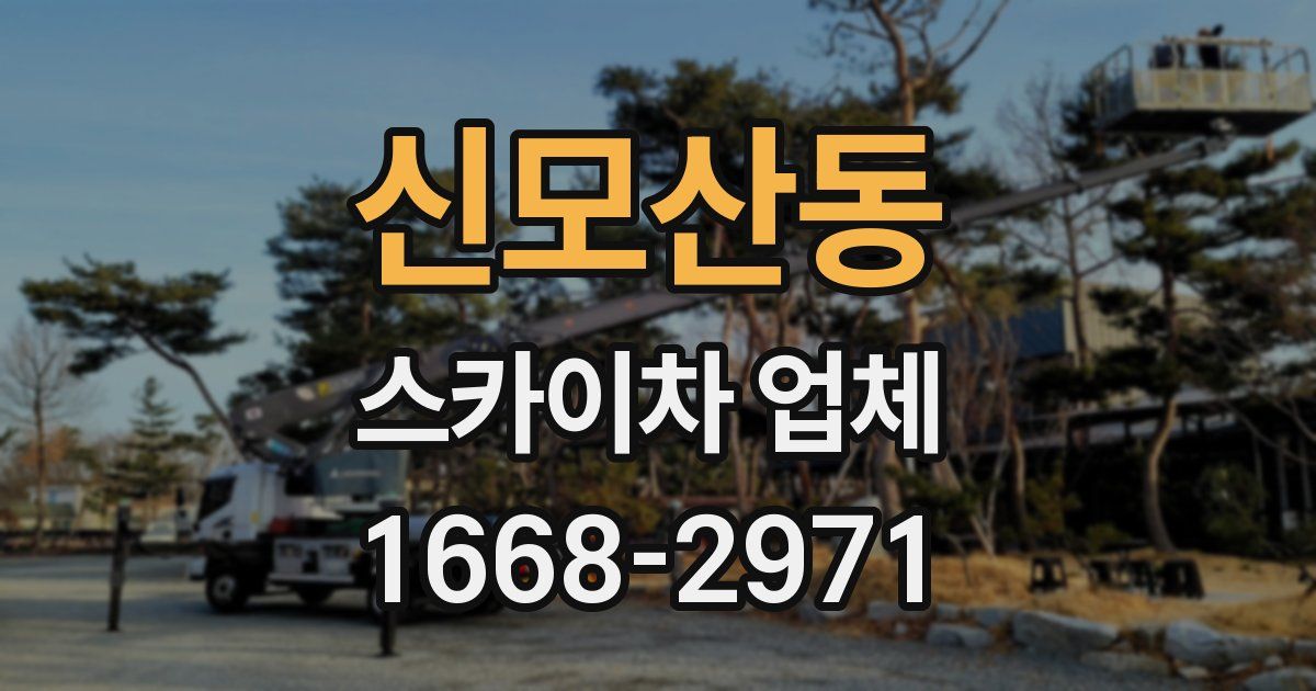 신모산동 스카이차 업체