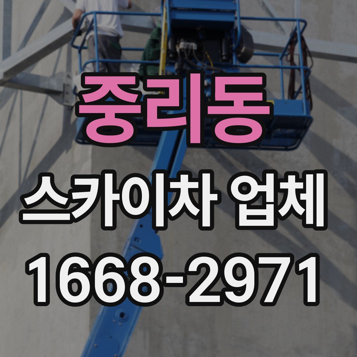 중리동 스카이차 업체