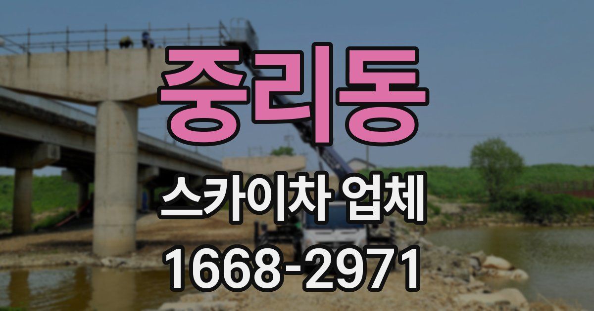 중리동 스카이차 업체