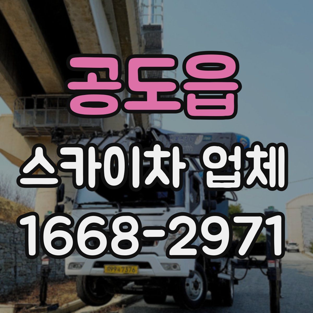 공도읍 스카이차 업체