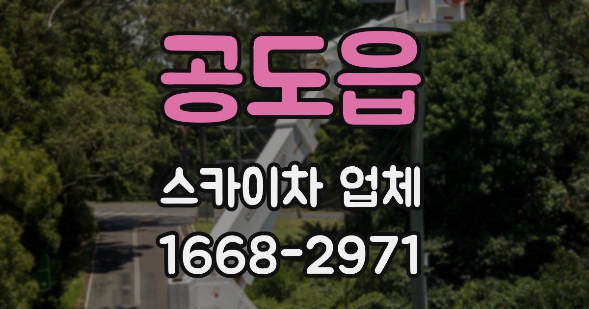 공도읍 스카이차 업체