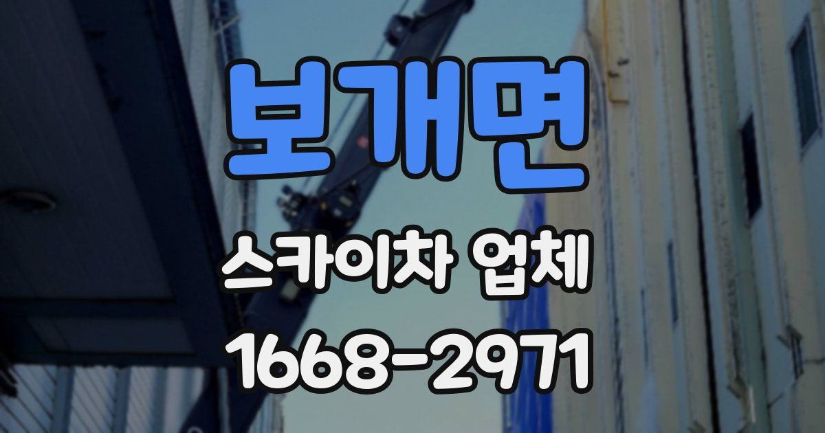 보개면 스카이차 업체