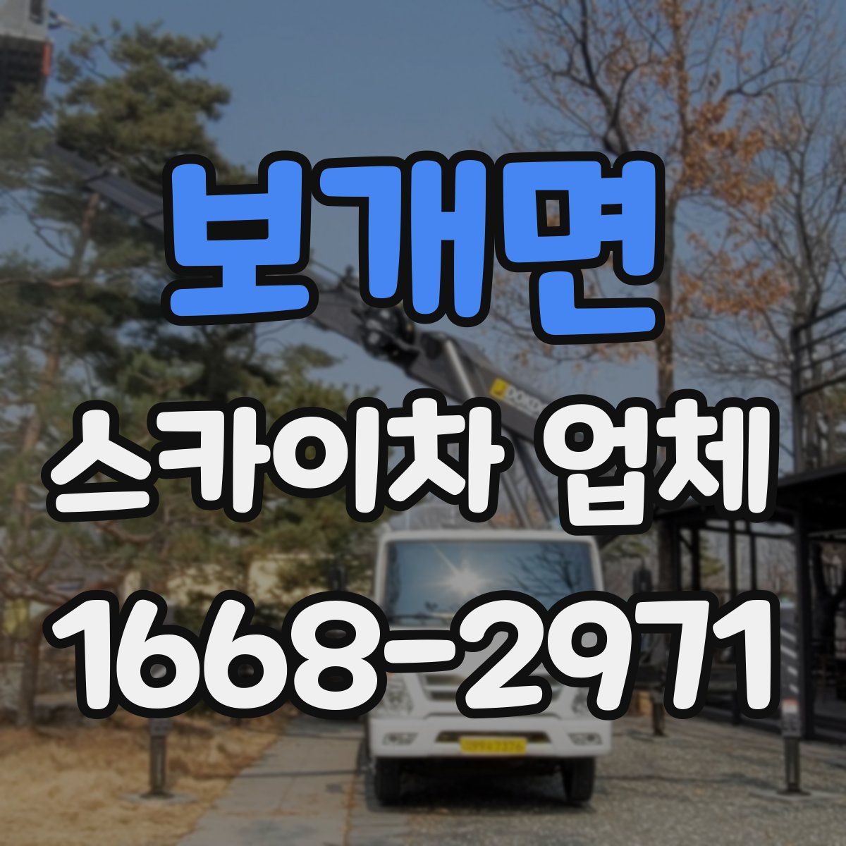 보개면 스카이차 업체