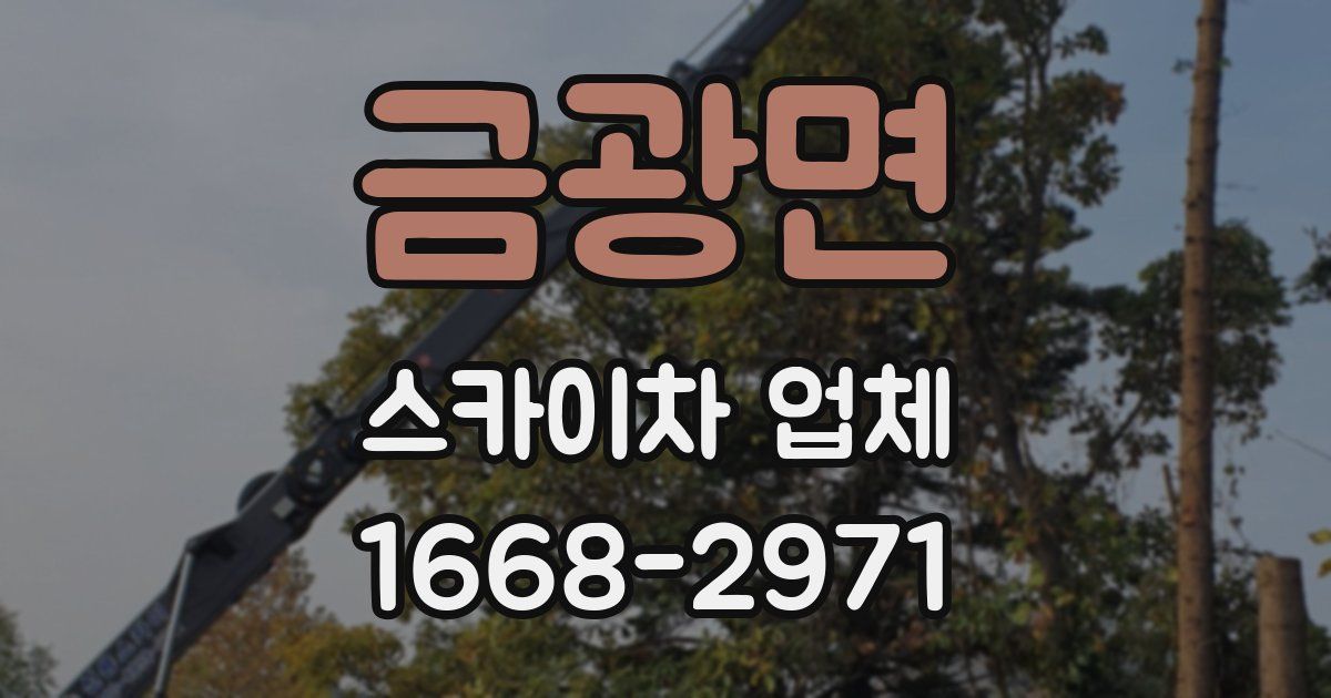 금광면 스카이차 업체