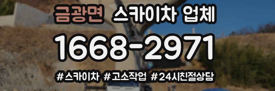 금광면 스카이차 업체