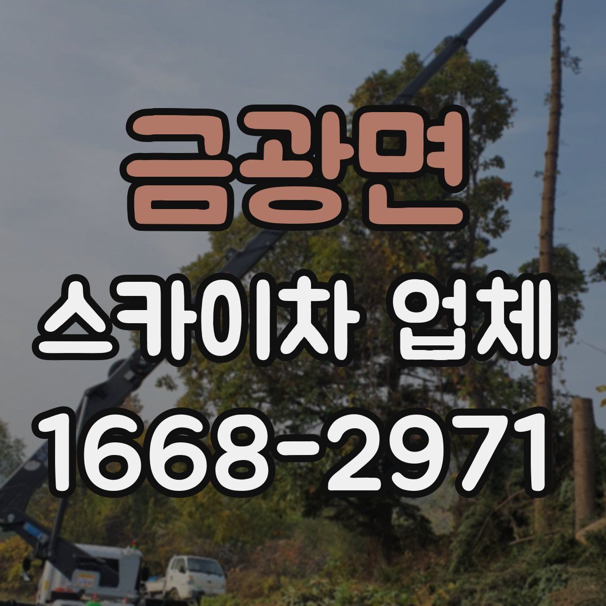 금광면 스카이차 업체