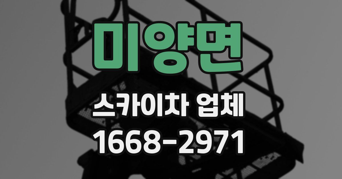 미양면 스카이차 업체