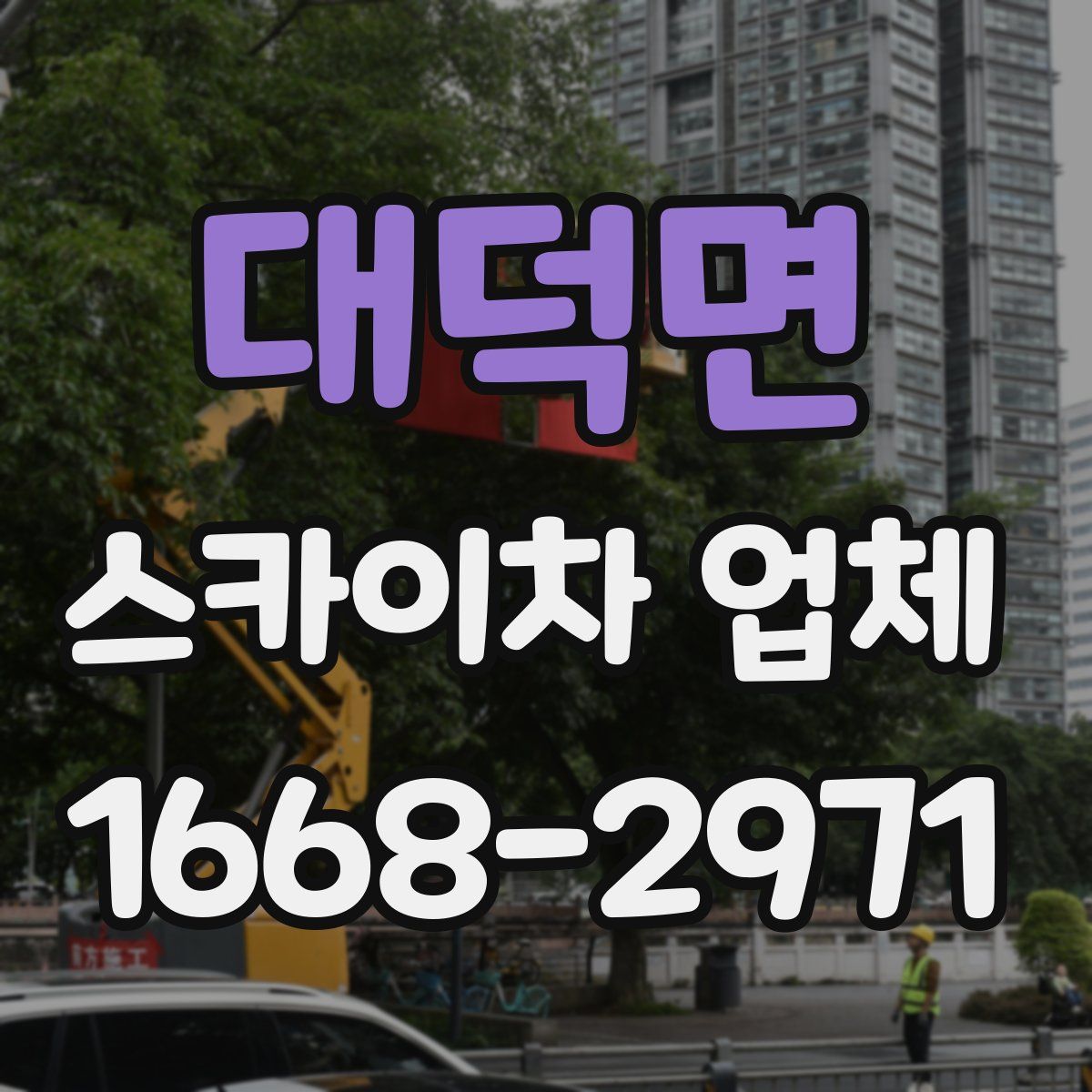 대덕면 스카이차 업체