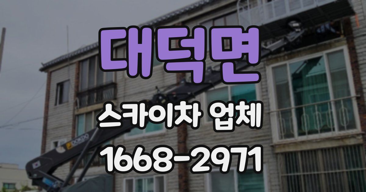 대덕면 스카이차 업체