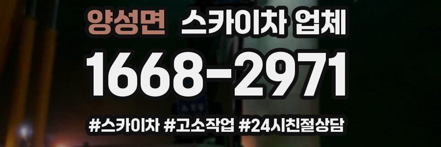 양성면 스카이차 업체
