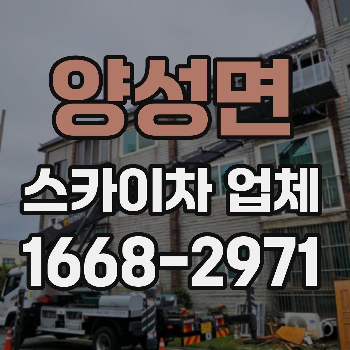 양성면 스카이차 업체