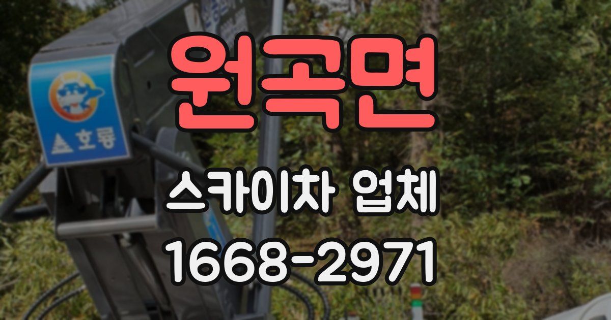 원곡면 스카이차 업체