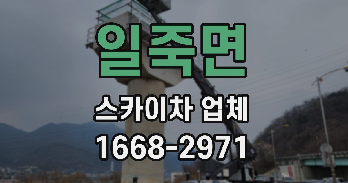 일죽면 스카이차 업체