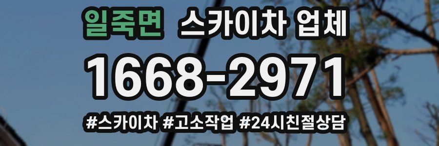 일죽면 스카이차 업체