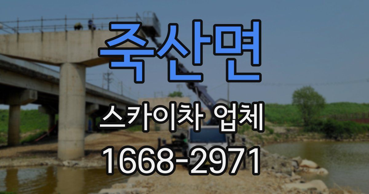 죽산면 스카이차 업체
