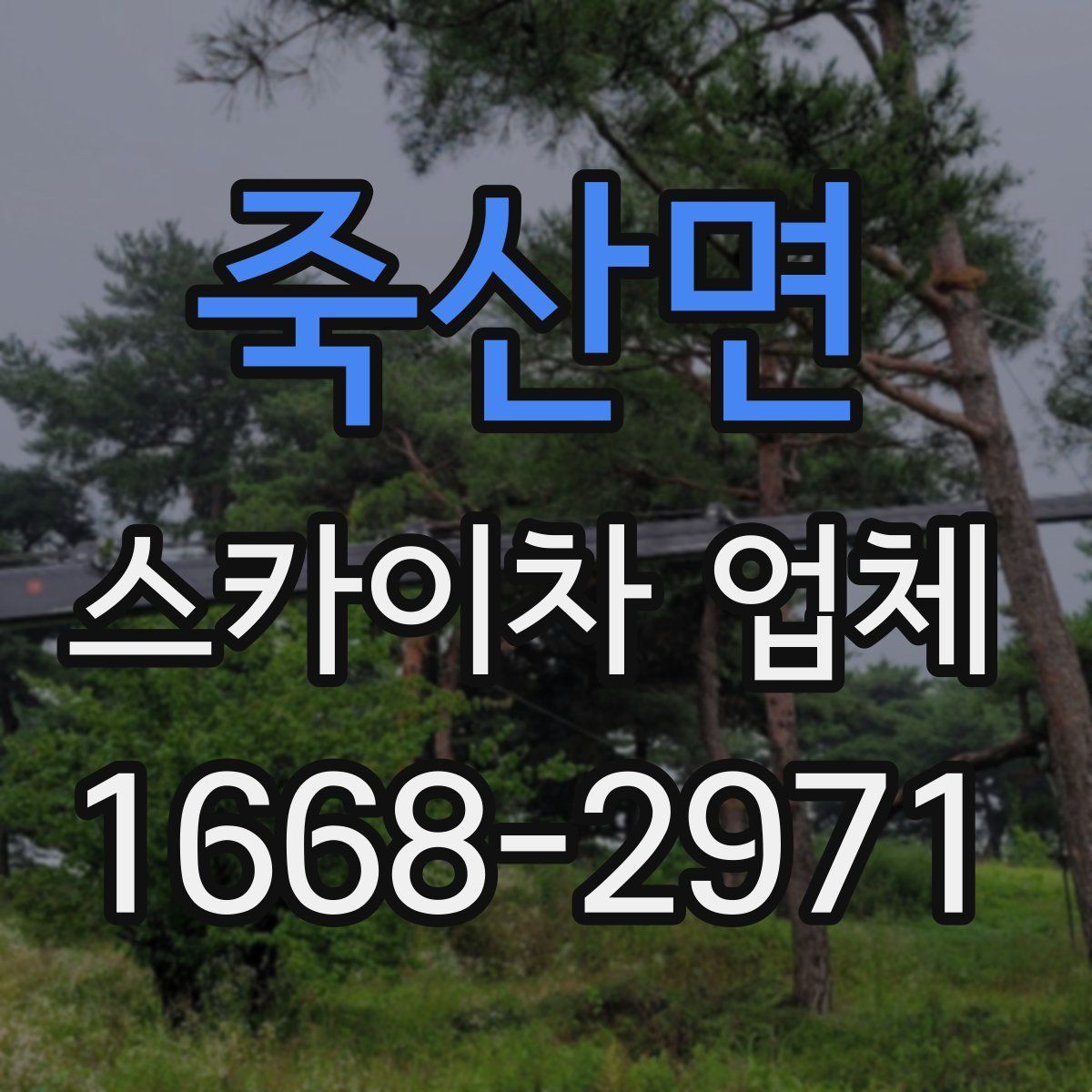 죽산면 스카이차 업체