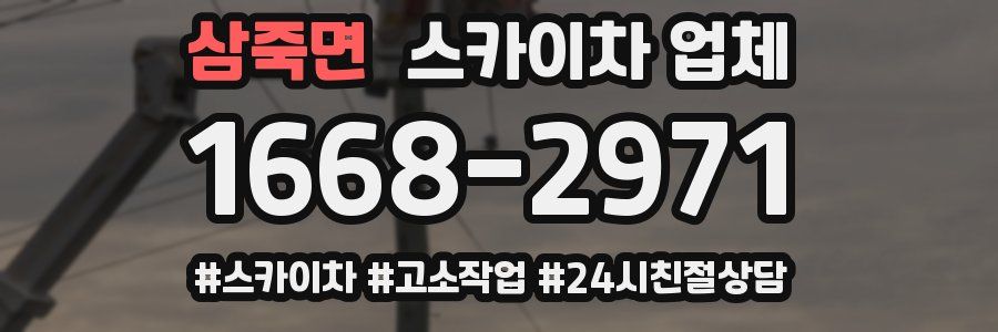 삼죽면 스카이차 업체