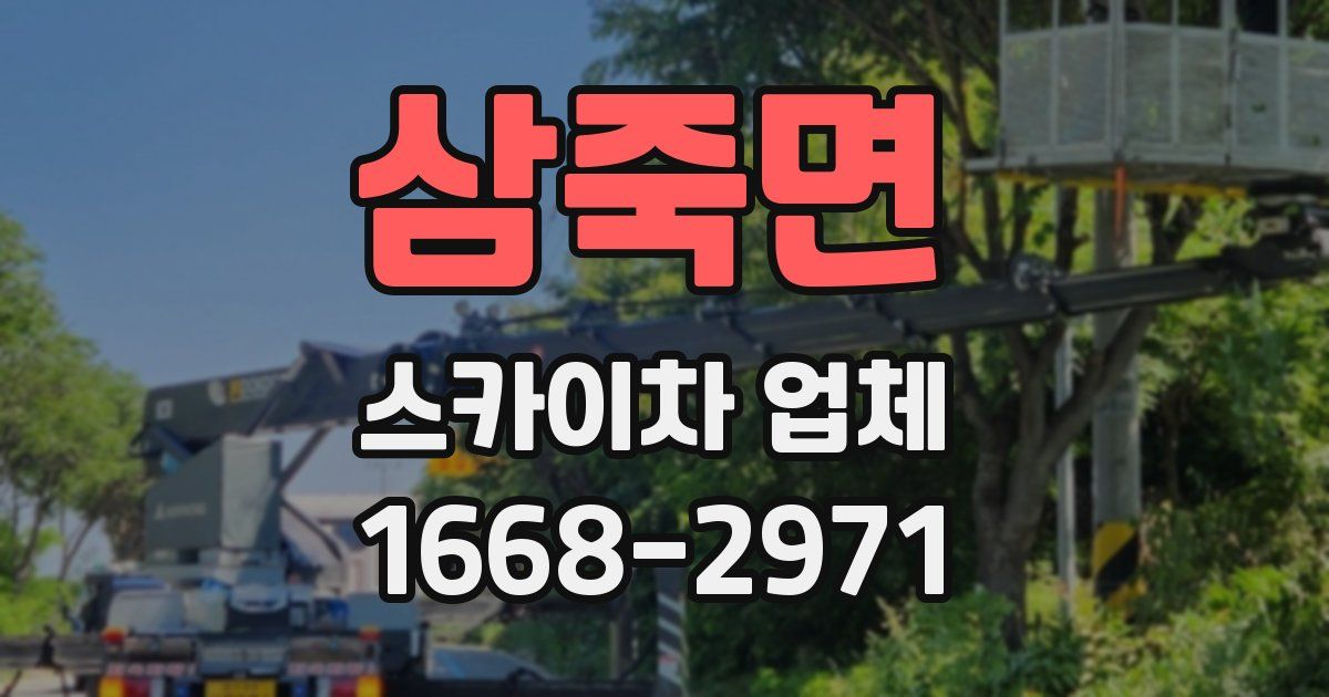삼죽면 스카이차 업체