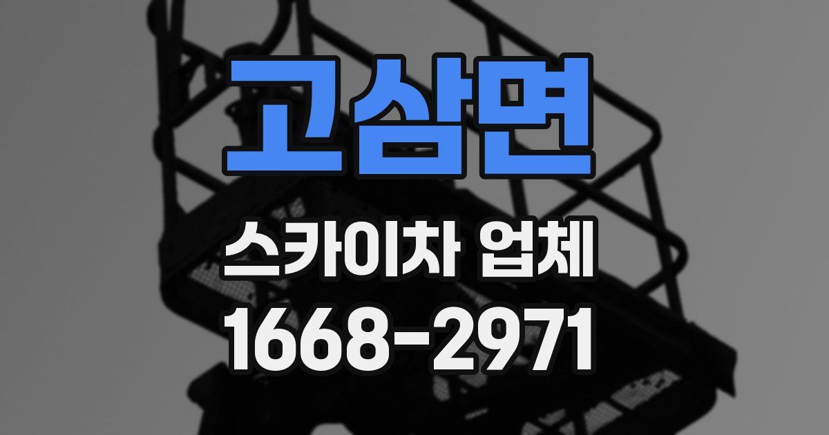 고삼면 스카이차 업체