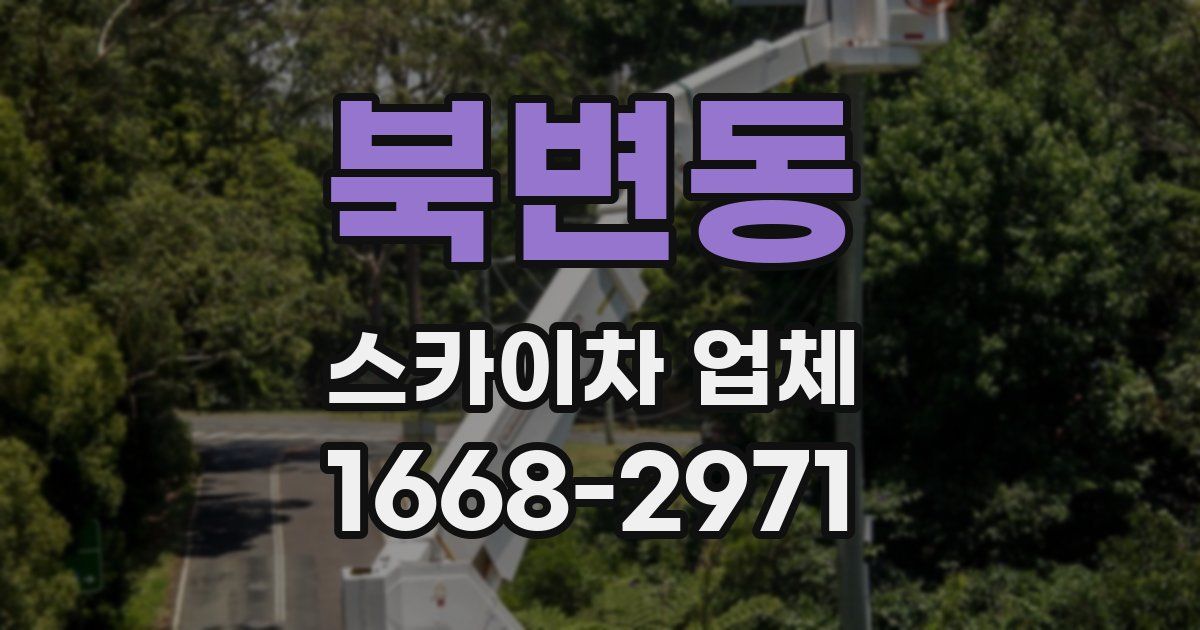 북변동 스카이차 업체