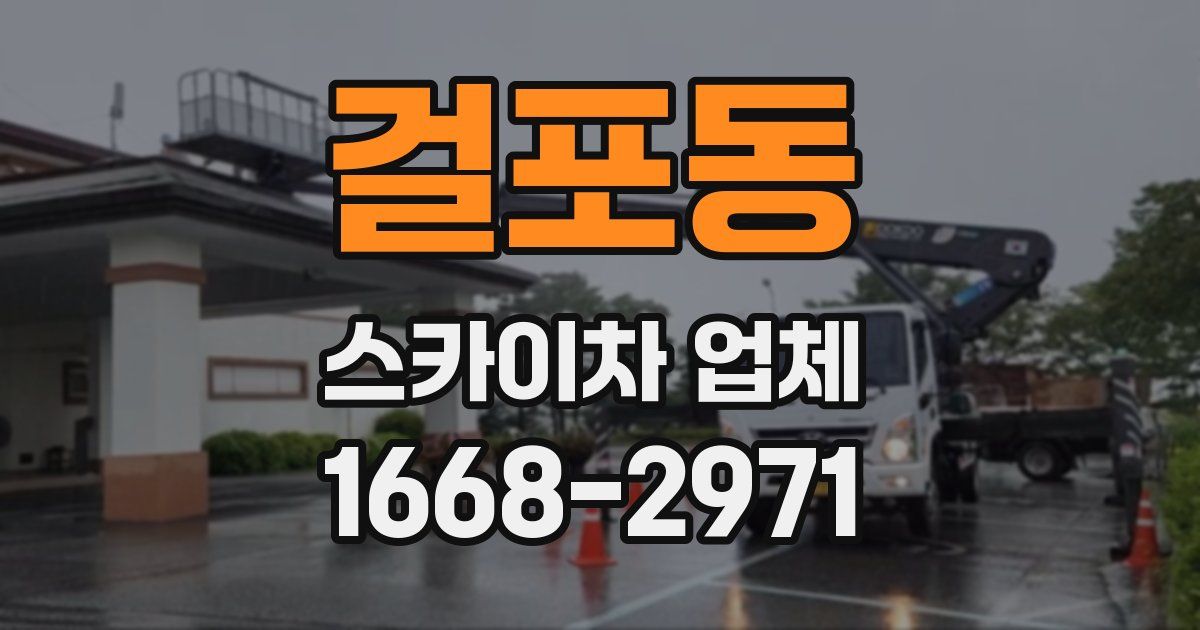 걸포동 스카이차 업체