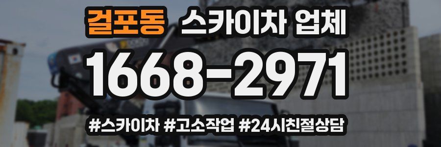 걸포동 스카이차 업체