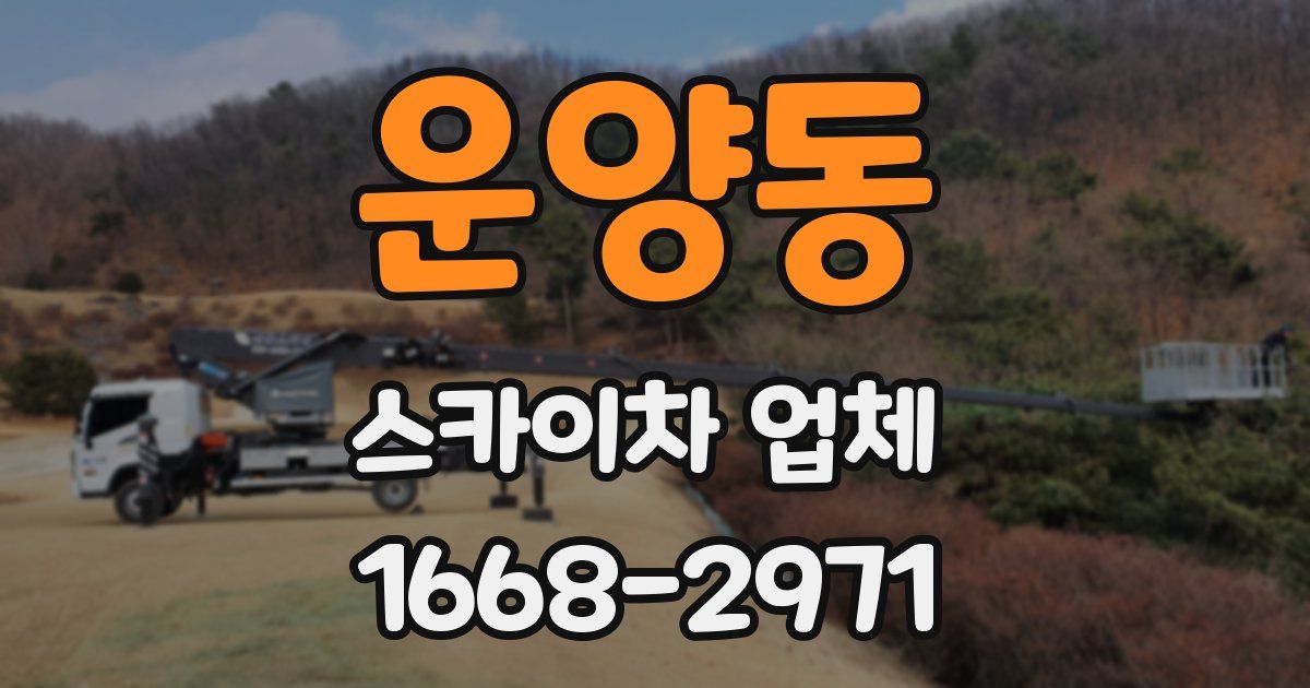운양동 스카이차 업체