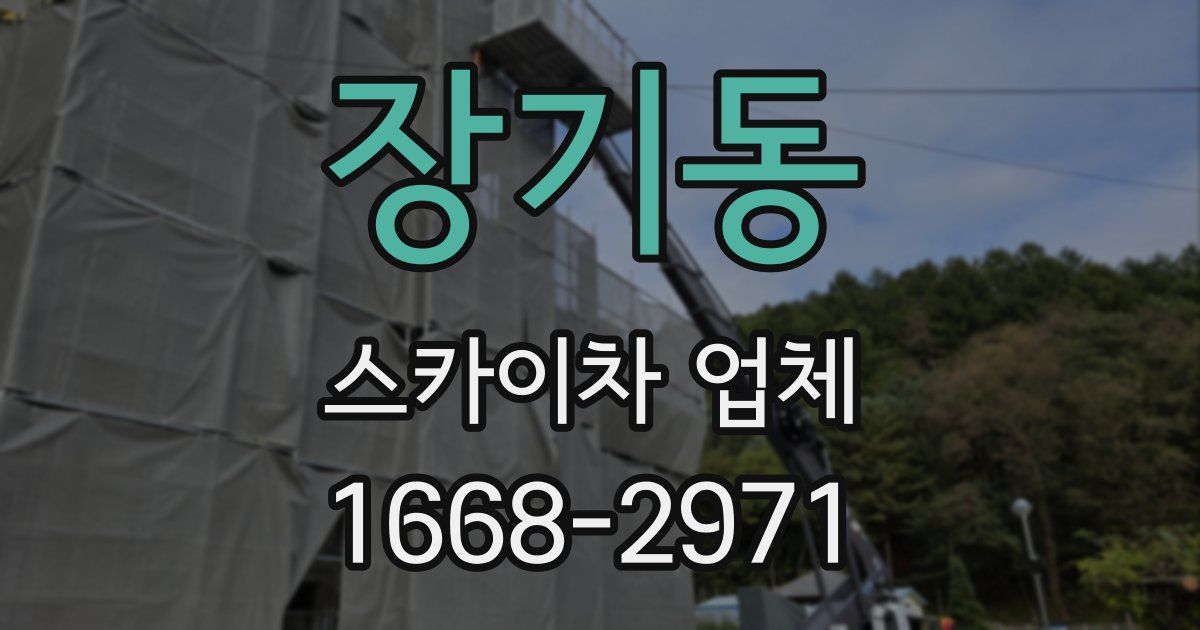 장기동 스카이차 업체
