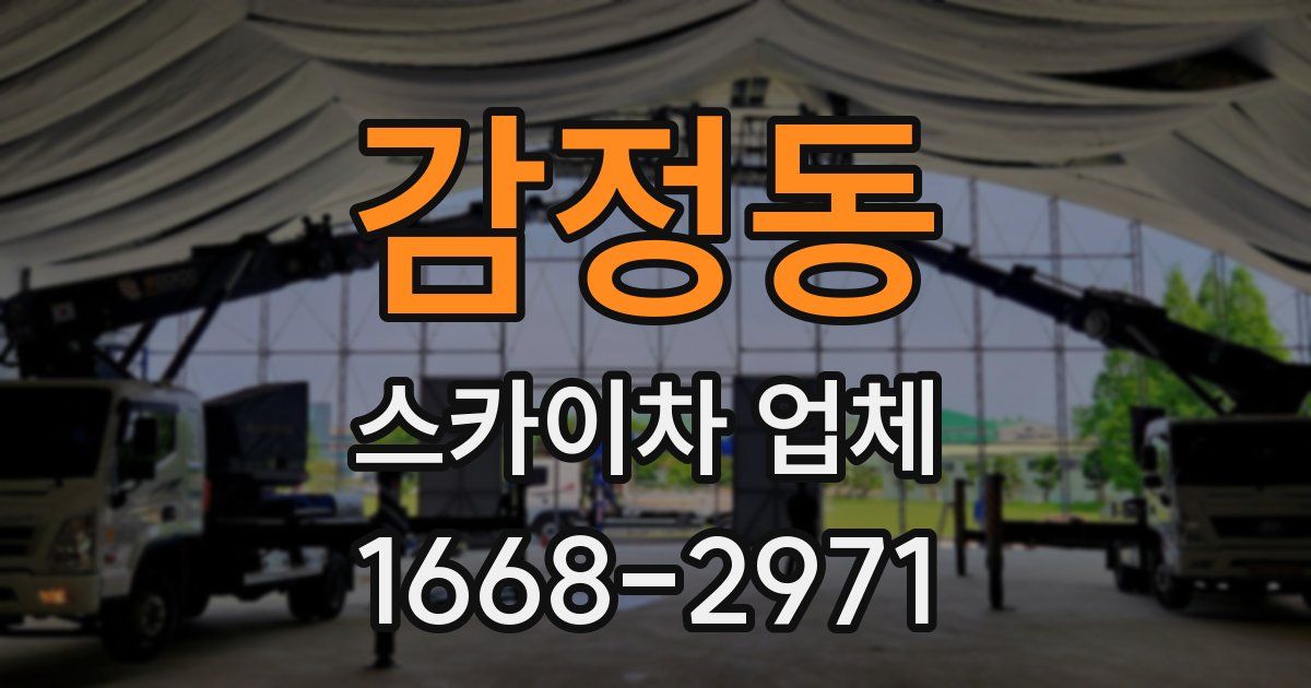 감정동 스카이차 업체