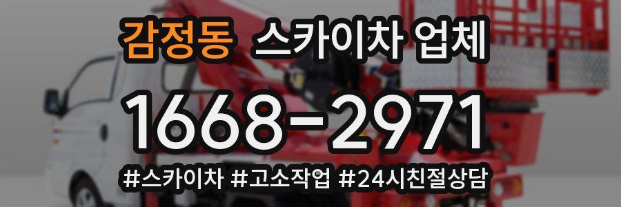 감정동 스카이차 업체