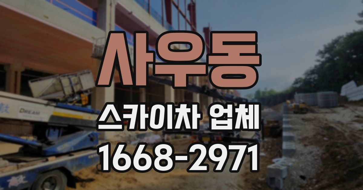 사우동 스카이차 업체