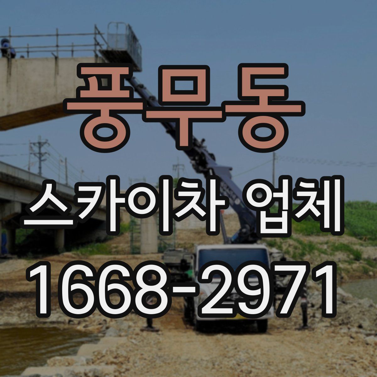 풍무동 스카이차 업체