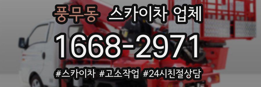 풍무동 스카이차 업체
